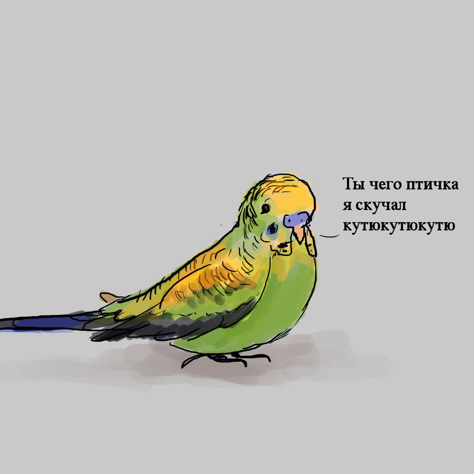 Как научить попугая разговаривать за 5 минут в домашних условиях