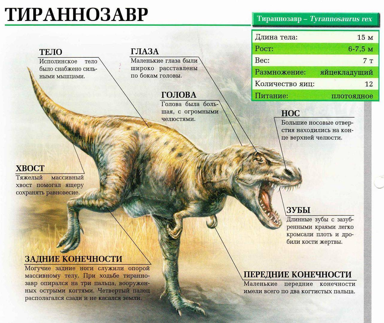 Тираннозавр — posmotre.li