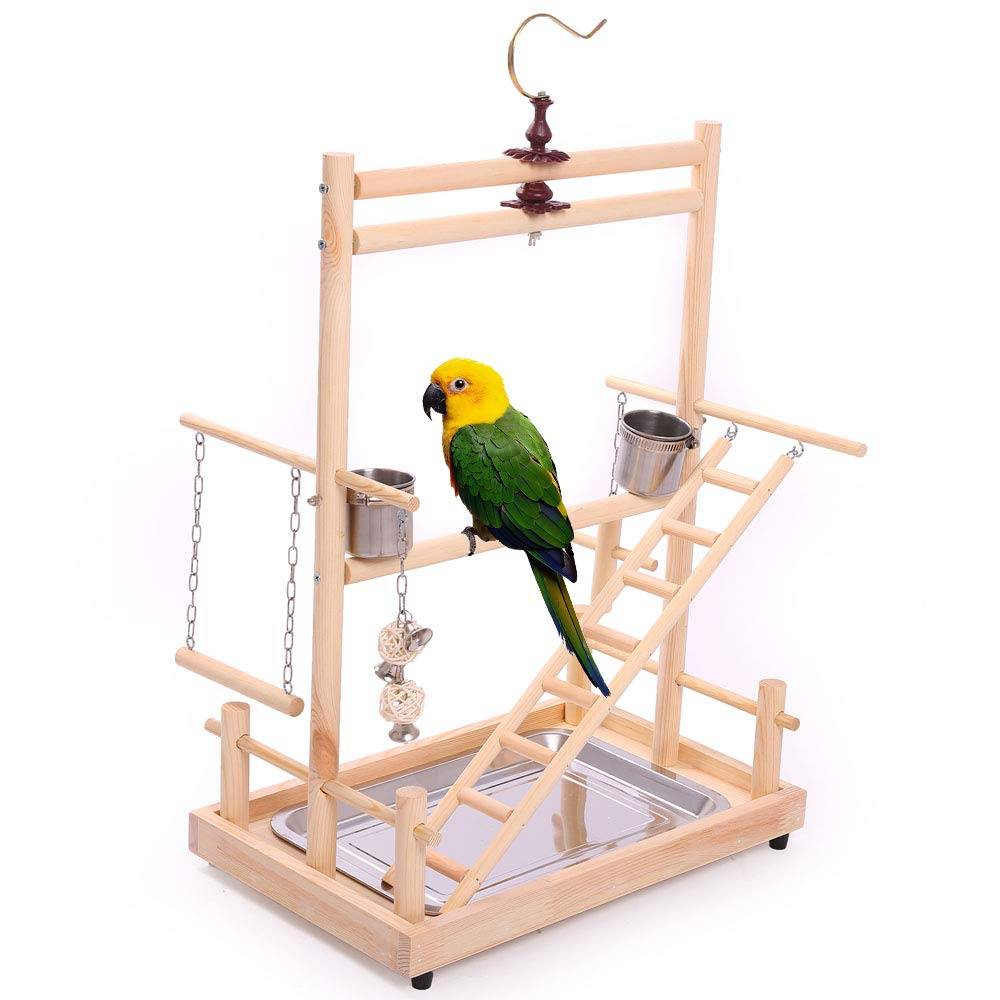 Жёрдочки для попугаев: виды, какие стоит использовать, как сделать