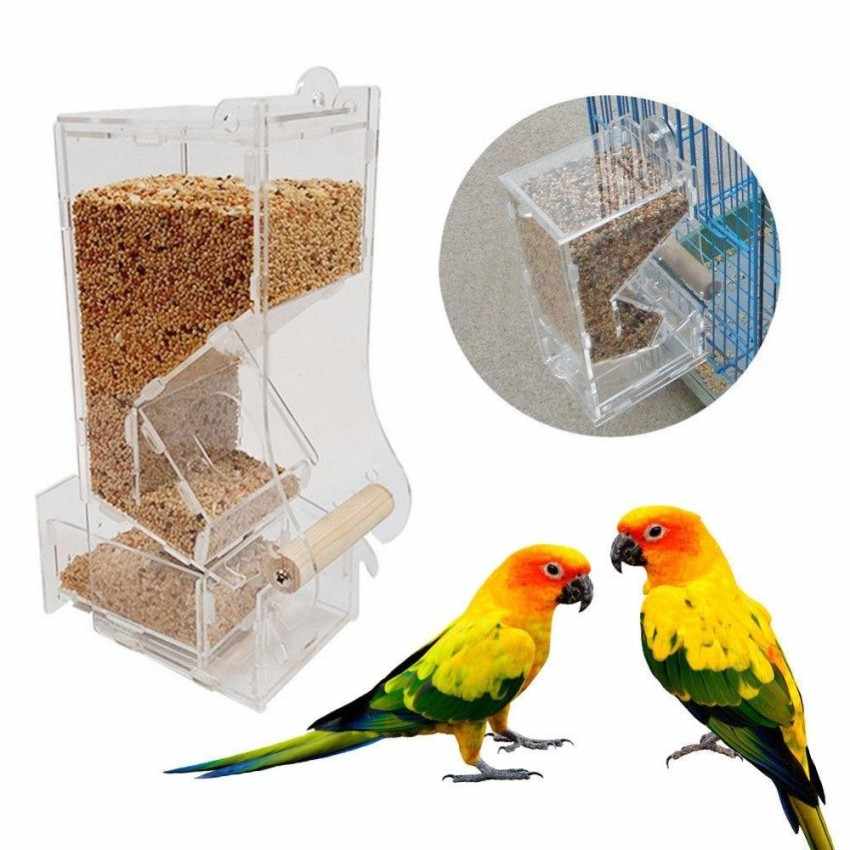 Поилка для попугая: как установить и правильно крепить