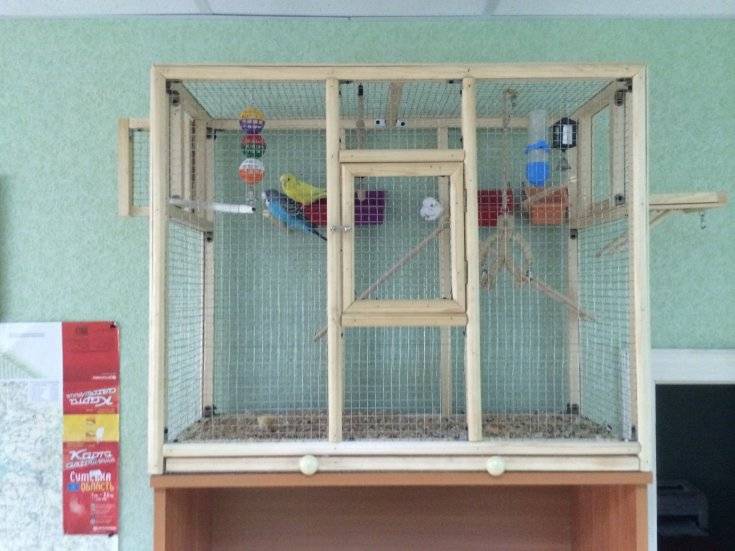 Вольеры для попугаев дома