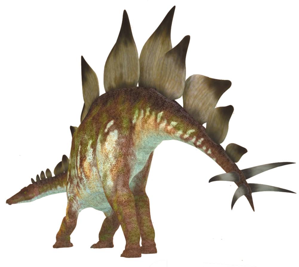 Аллозавр против стегозавра | кто сильнее и кто же победит? видео и описание схватки