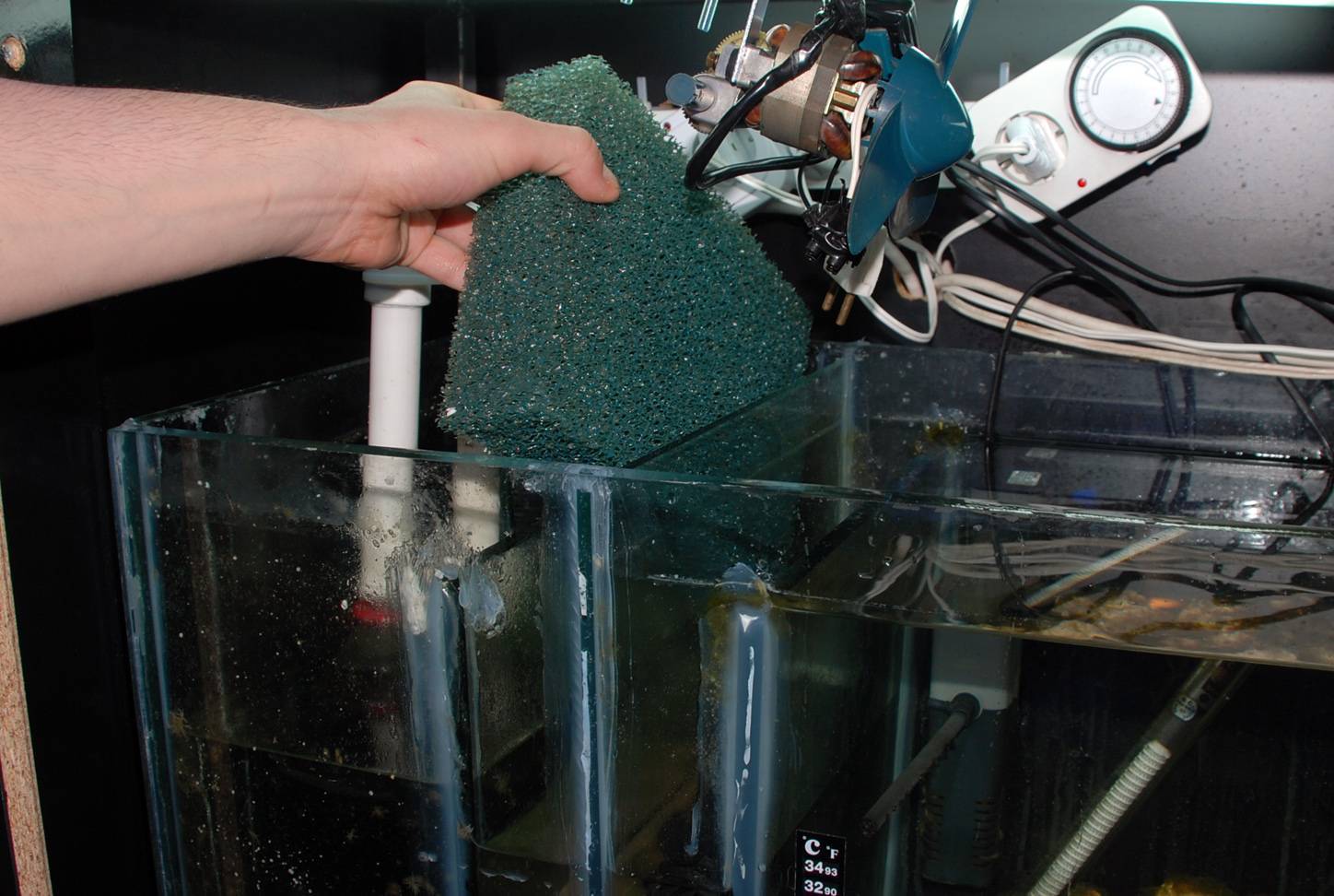 Как чистить аквариум в домашних условиях