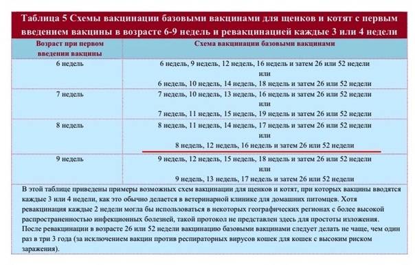 Прививки щенкам до года. таблица прививок – pet-mir.ru