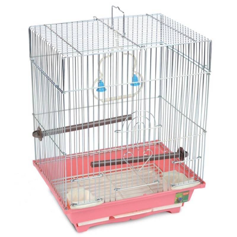 Что нужно в клетке для попугая и как ее выбрать
