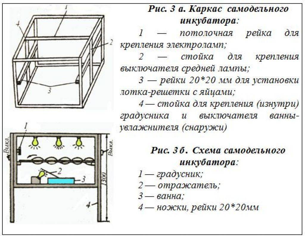 ᐉ инкубатор своими руками - виды инкубатора, технология изготовления - zooon.ru