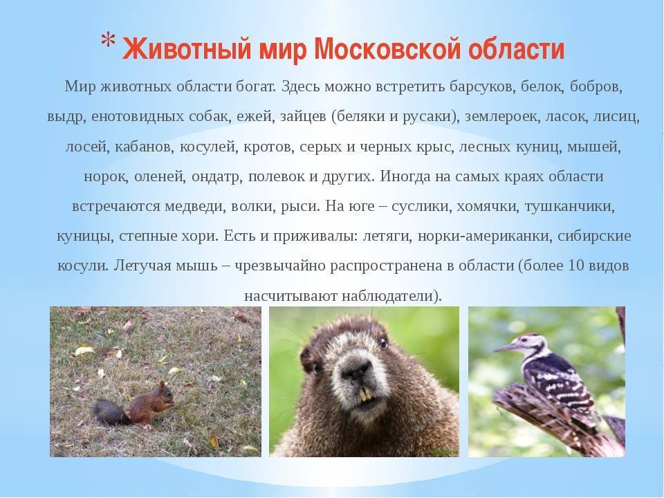 Красная книга московской области