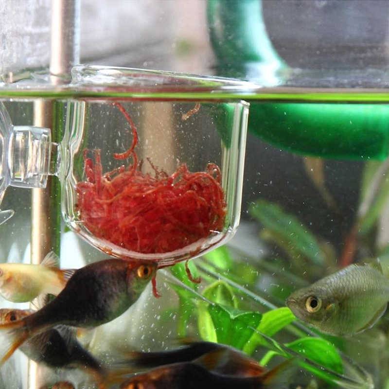 Советы по кормлению аквариумных рыбок. | аквариумок