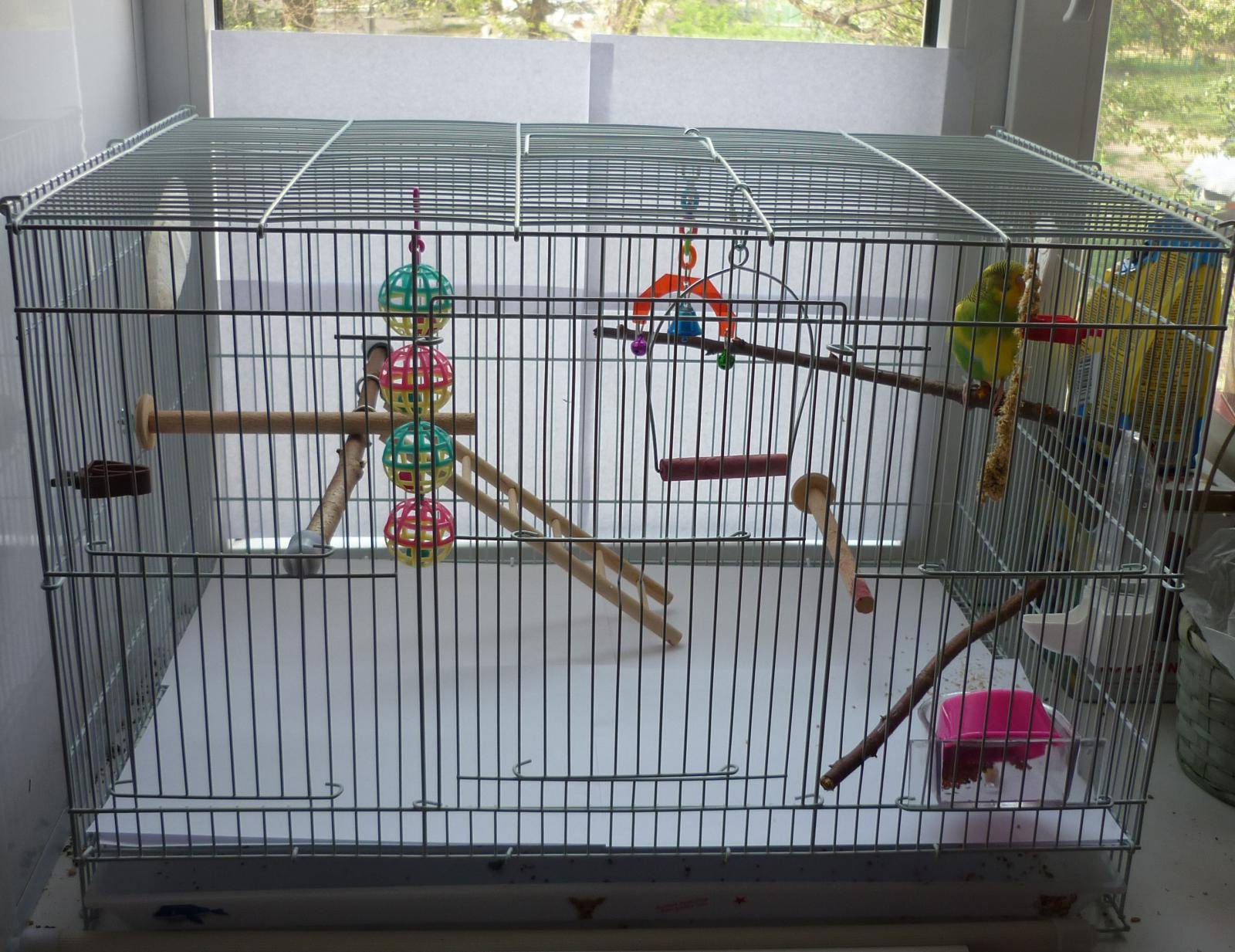 Волнистый попугайчик: клетки, аксессуары, игрушки