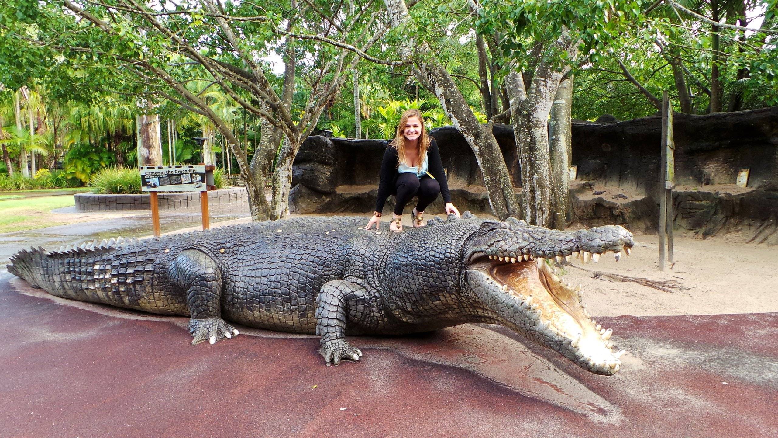 Самые большие и опасные крокодилы в мире | интересный сайт