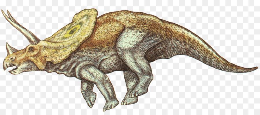 Стегозавр (лат. stegosaurus)