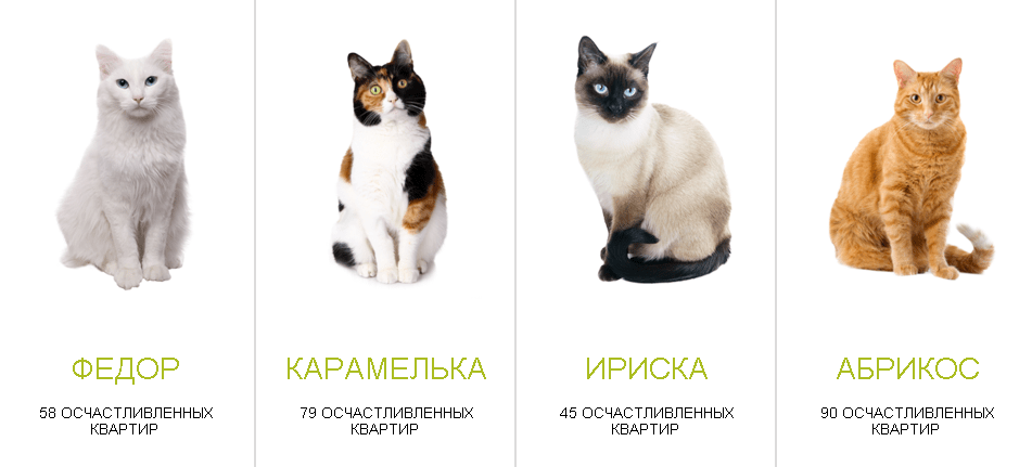 Кого лучше брать для разведения кота или кошку?