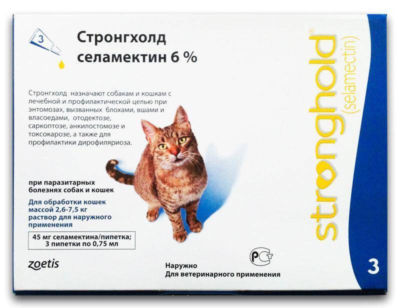 Фармакологическое действие капель стронгхолд для кошек
