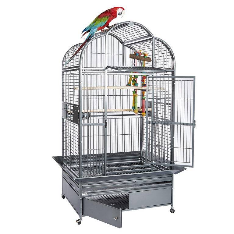 Оборудование клетки для попугая кореллы, что необходимо птице