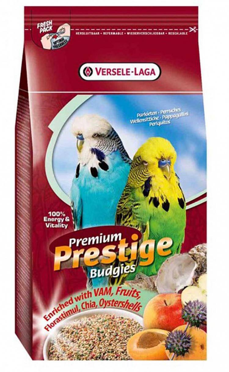 ? корма для попугаев: обзор лучших кормов, рекомендации по выбору