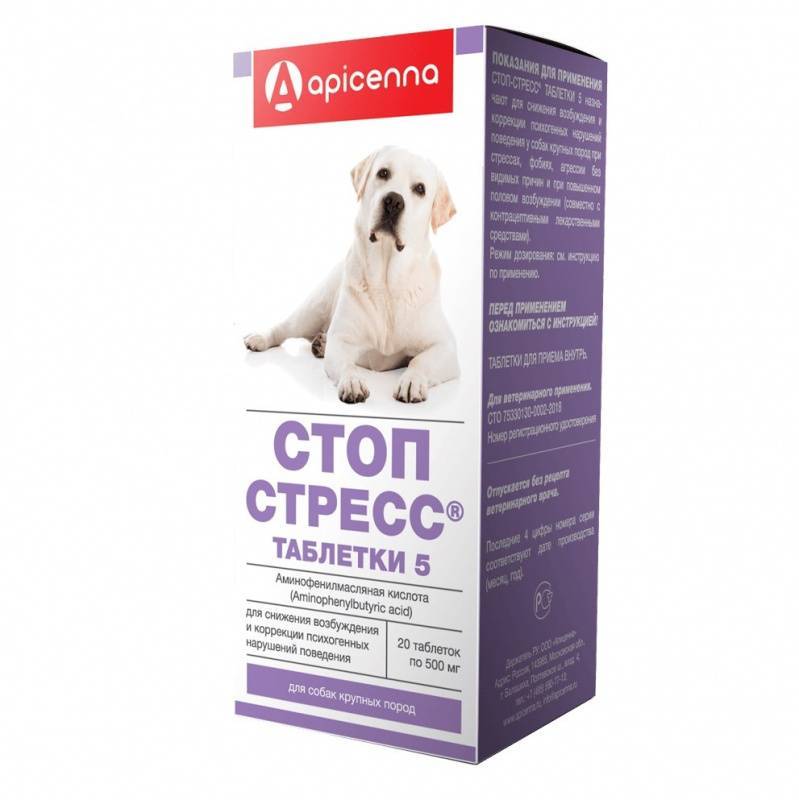 9 успокоительных средств для собак: мелких и средних пород, капли, уколы - kotiko.ru