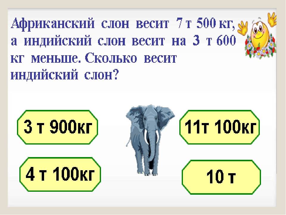 Сколько килограммов весит слон?