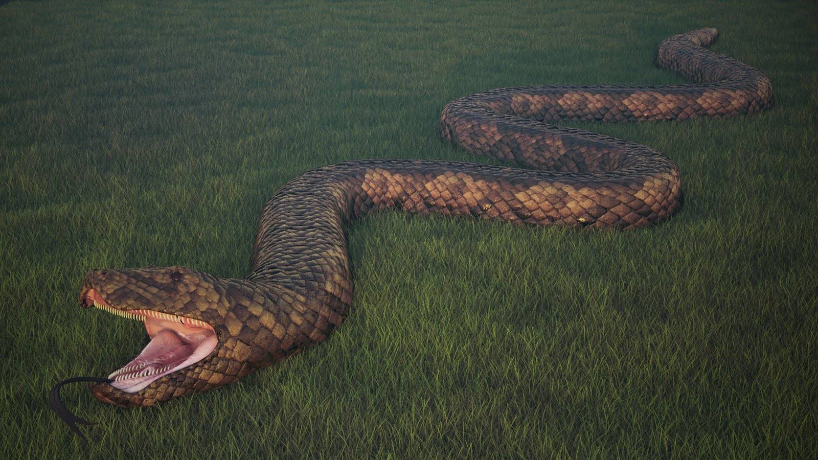 Топ-10 самых больших змей в мире: фото, видео, названия