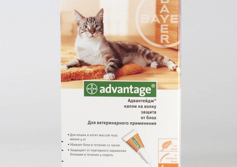 Капли адвантейдж: эффективное средство в борьбе с блохами. advantage капли от блох для кошек