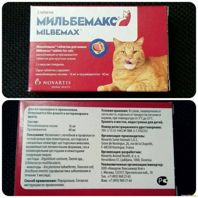 Мильбемакс для кошек: инструкция по применению