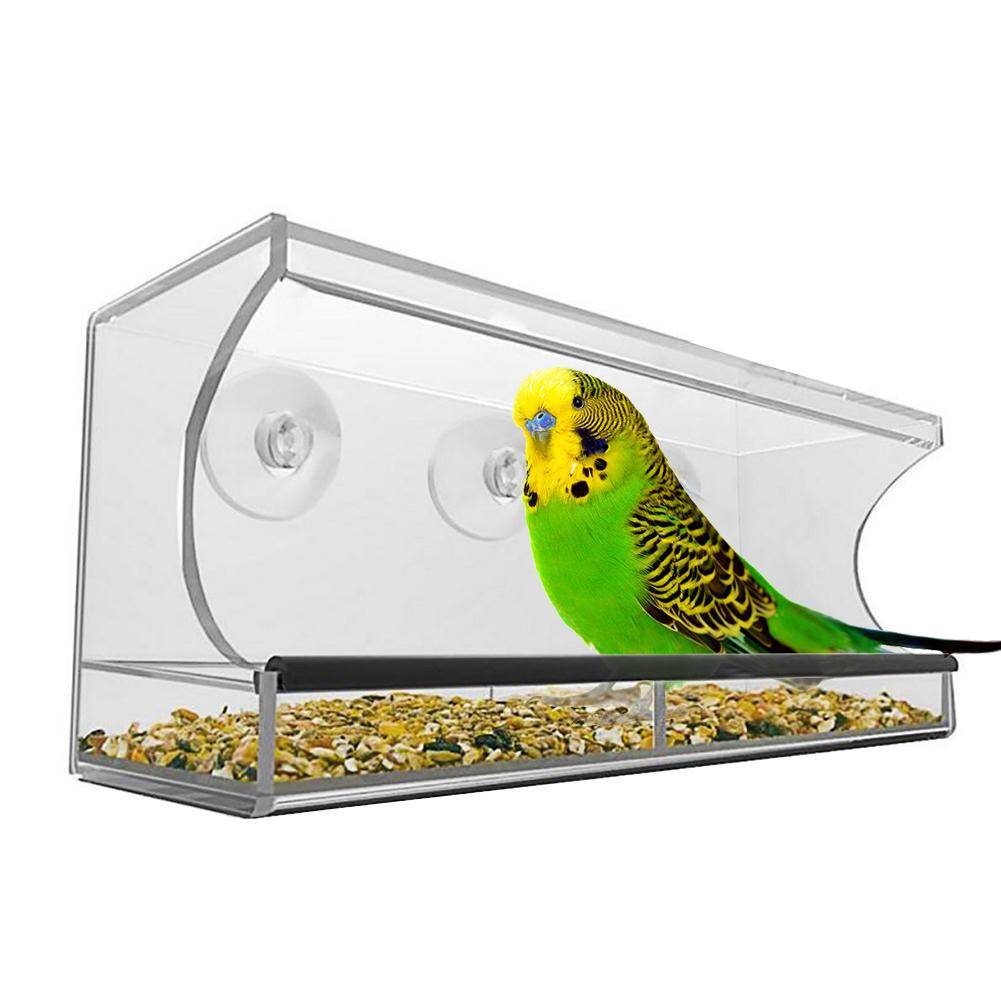 Кормушка для волнистых попугаев в клетку: автоматическая и закрытая