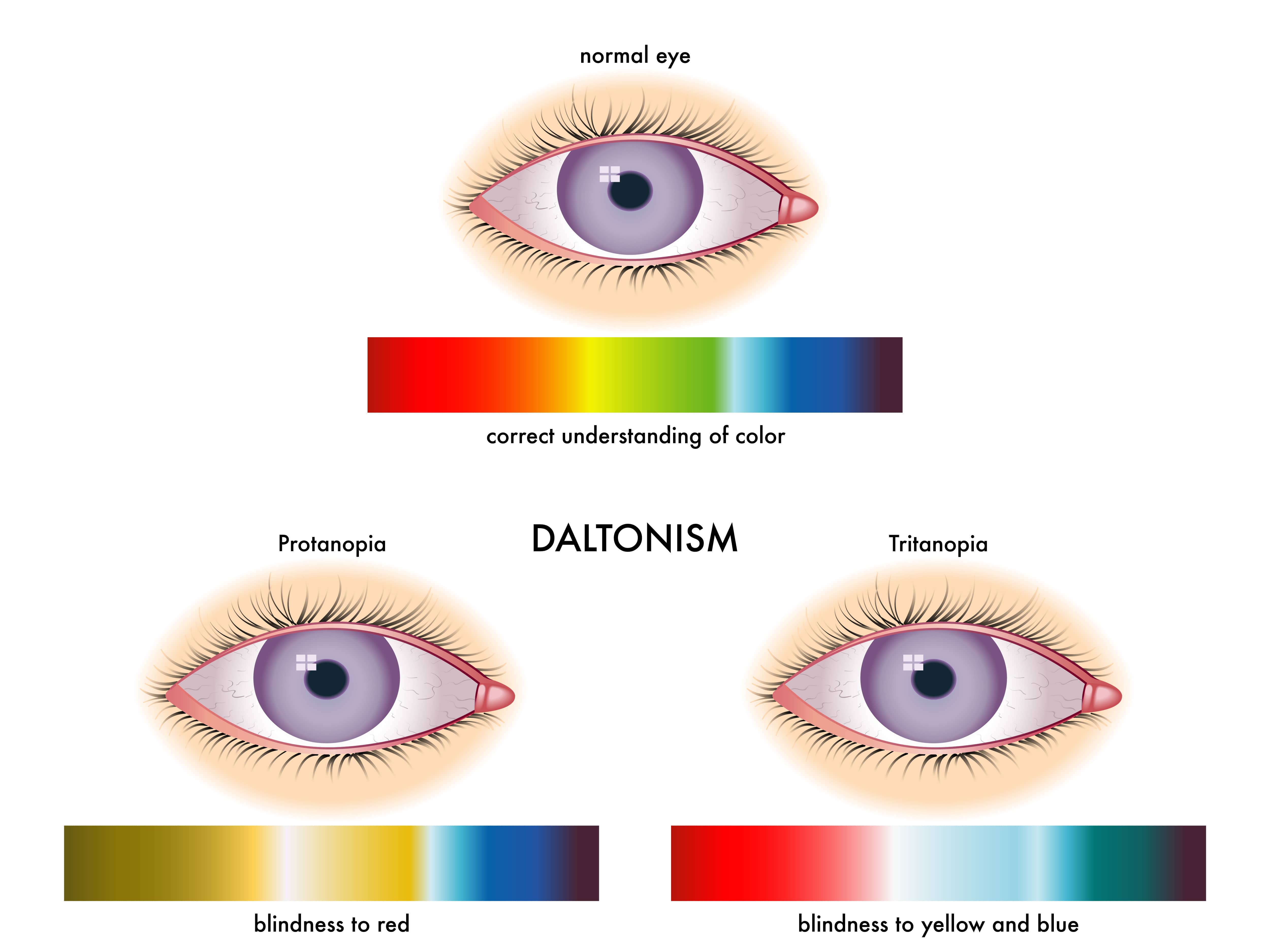Особенности цветового зрения человека