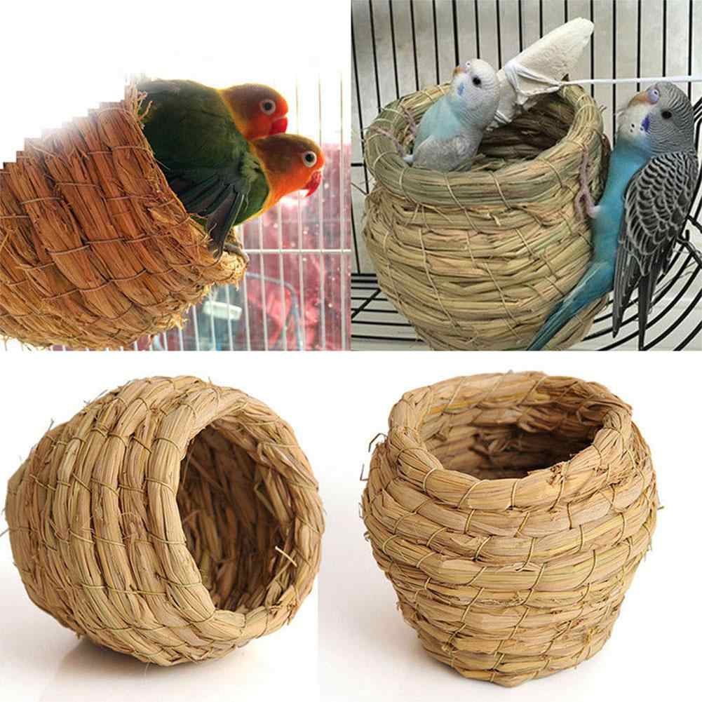 Гнездовой домик для волнистых попугаев: нужен ли и зачем, как выбрать и сделать своими руками