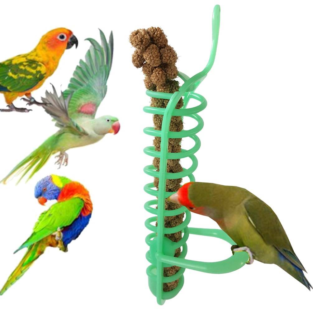 Игрушки для волнистых попугаев: как развлечь пернатого