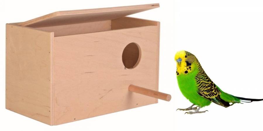 Изготовление и выбор гнезда для попугаев