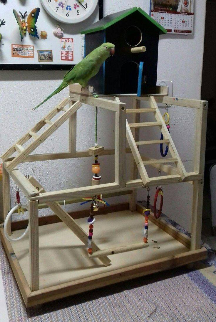 [новое исследование] площадка для попугая: выбор и покупка, как сделать игровую площадку своими руками
