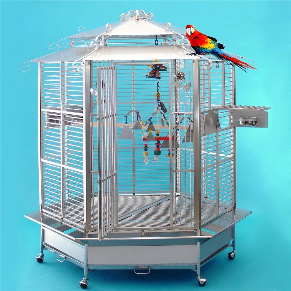 Клетки для волнистых попугаев: рекомендации по выбору