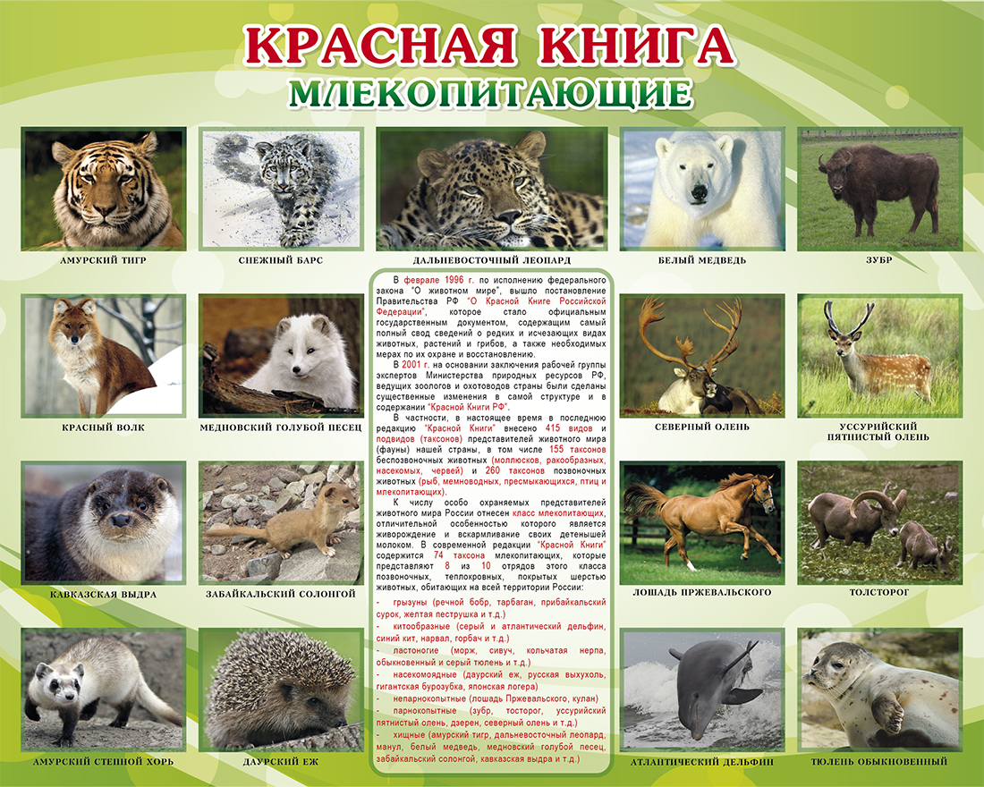 Животные красной книги россии