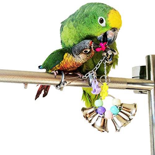 Как выбрать игрушки для попугаев волнистых -