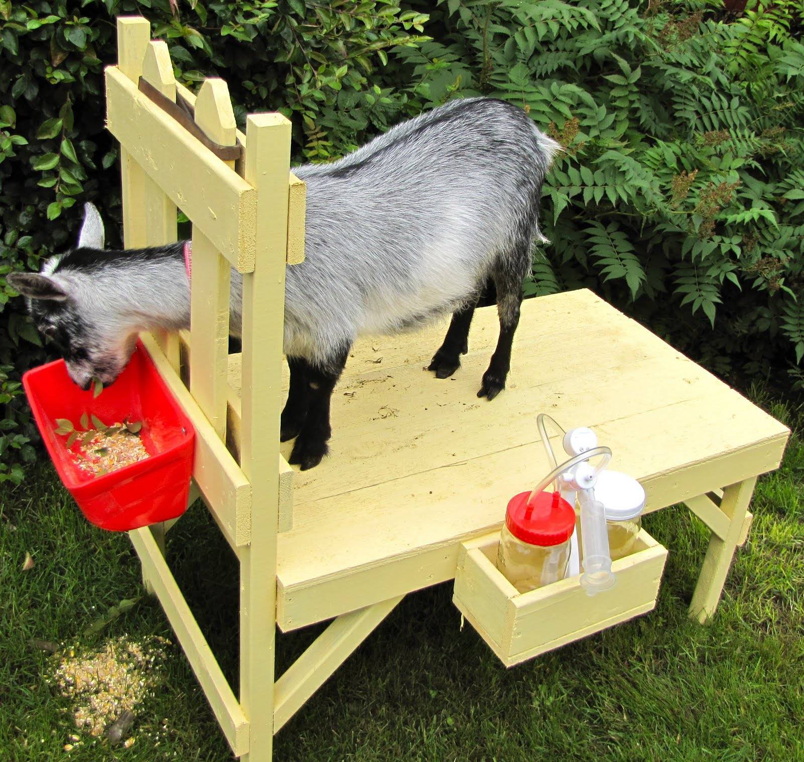 Кормушки для коз своими руками из подручных материалов
