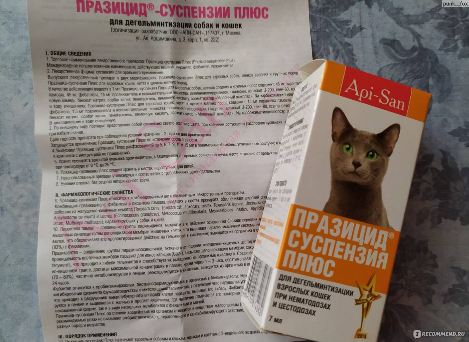 О препарате празицид таблетки для собак и кошек | апиценна