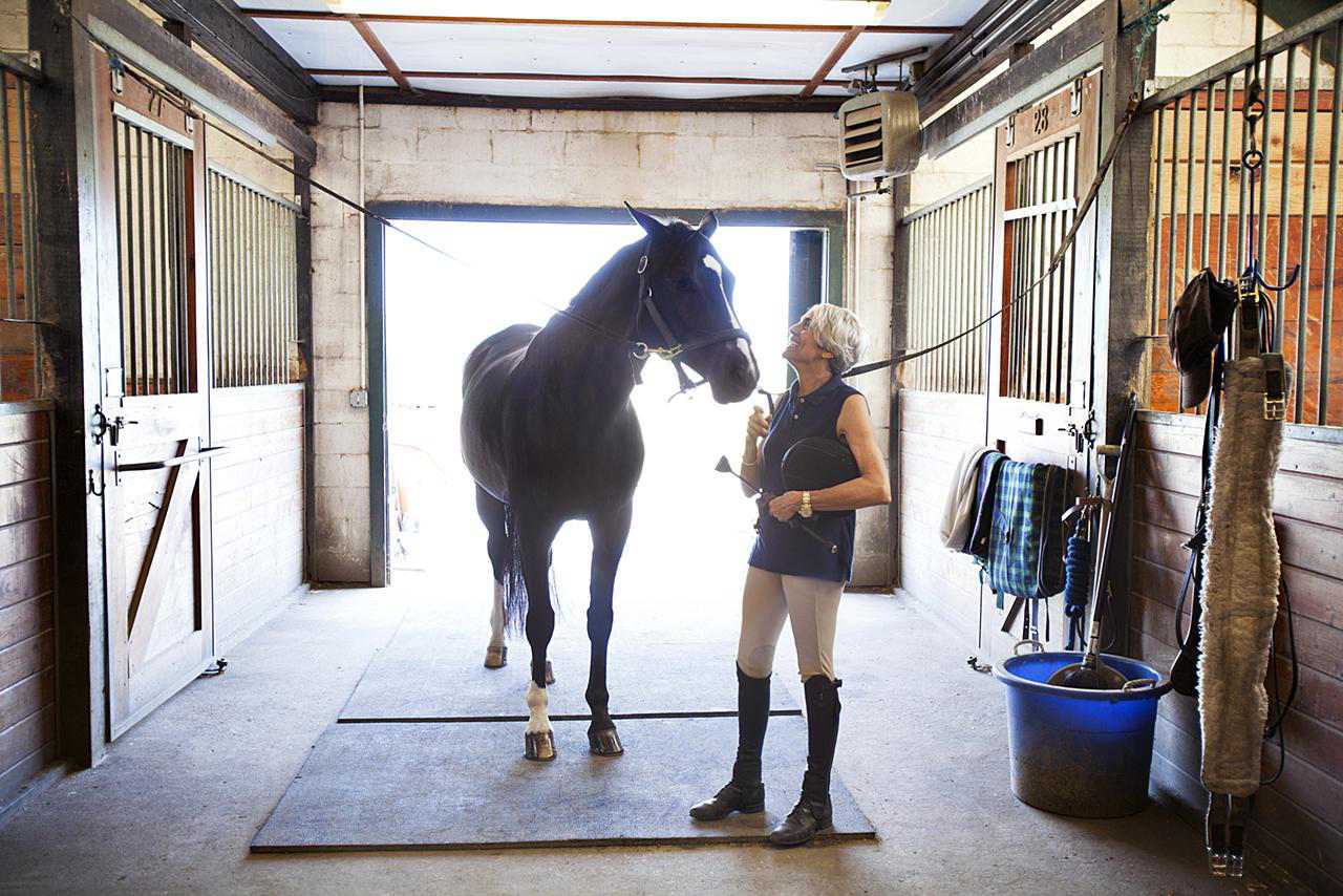 Как ухаживать за лошадью, содержание в домашних условиях для новичка