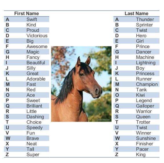 Имена и клички для лошадей, коней и жеребят – как назвать? 2021