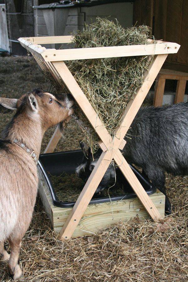 Кормушки для коз - виды, требования, изготовление своими руками 