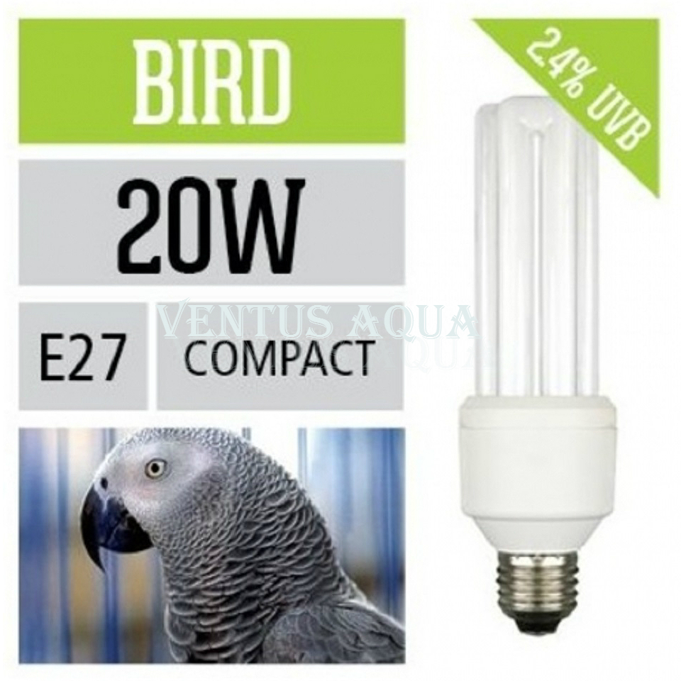 Какая лампа нужна для попугая (ультрафиолетовая, обычная) и как её правильно выбрать