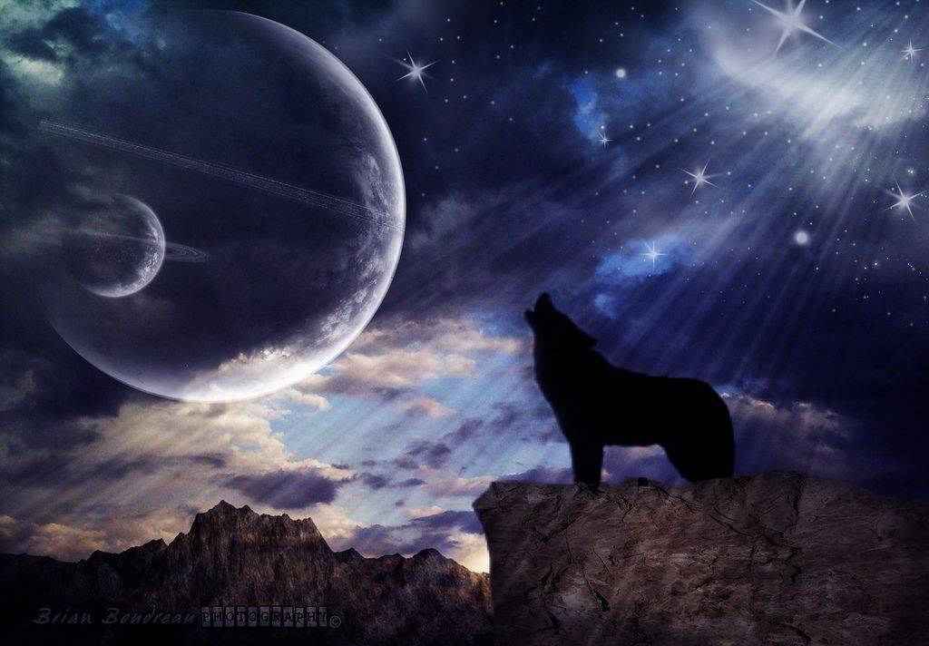 Почему волки воют на луну? объяснение — в загадочном лунном свете