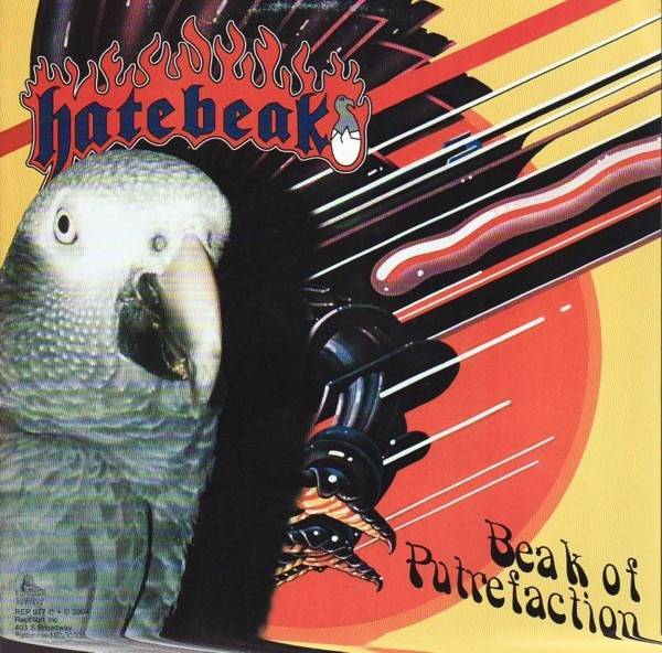 Вокалист рок группы Hatebeak – попугай жако по имени Вальдо