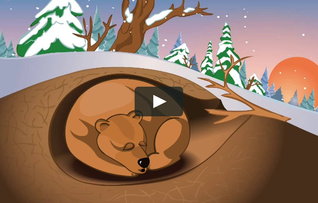 Конспект занятия в средней группе «заучивание стихотворения владимира орлова «почему медведь спит зимой»