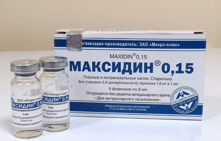 Максидин для кошек - инструкция по применению препарата - kotiko.ru