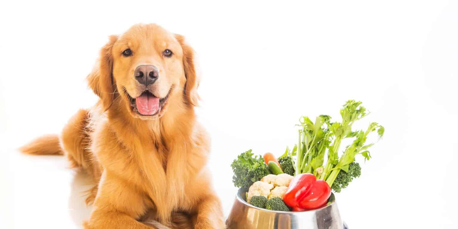 Питание собак натуральной пищей: какие крупы, фрукты и овощи можно давать собаке