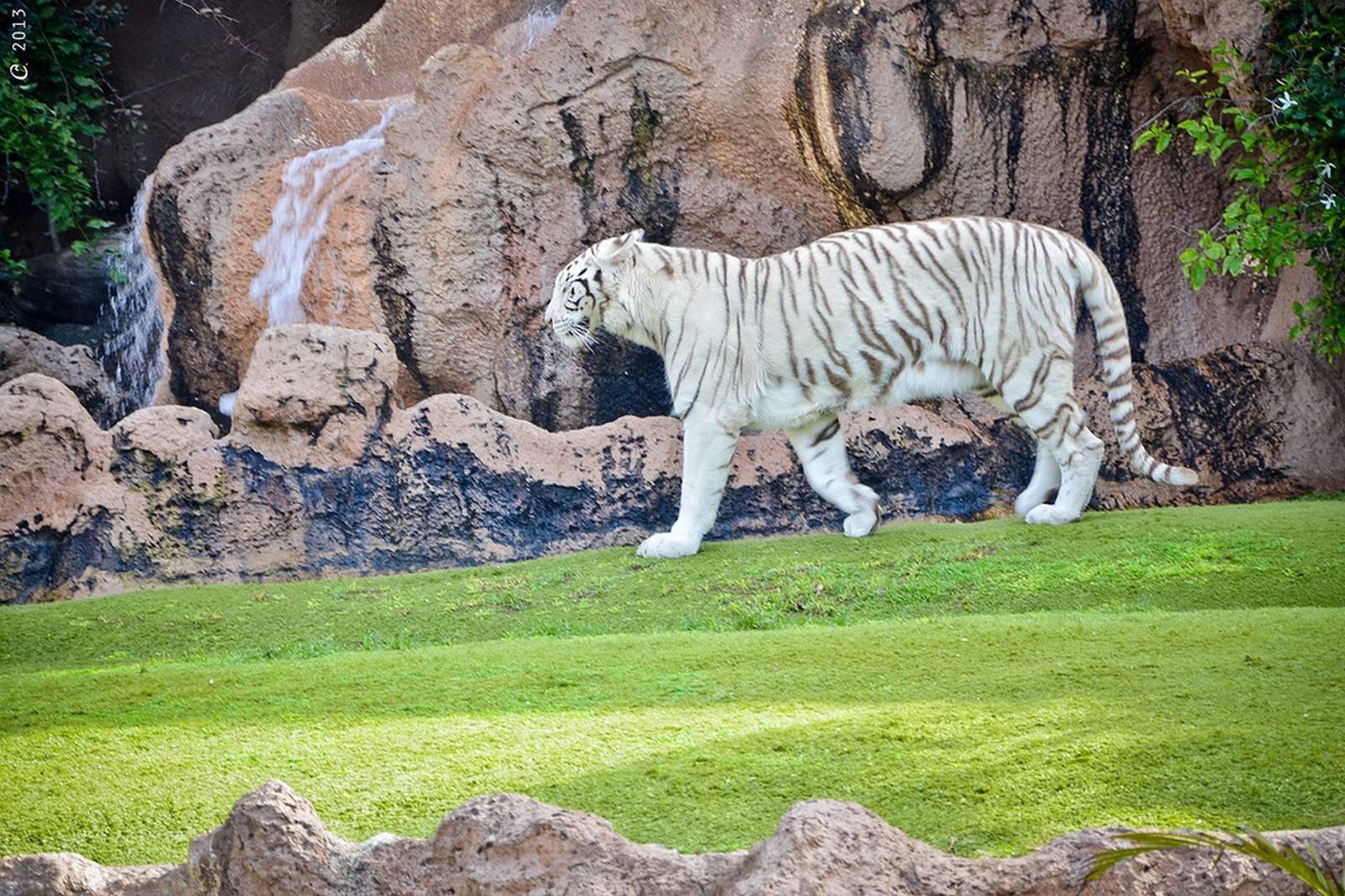 Лучшие зоопарки мира: рейтинг самых красивых и необычных зоопарков