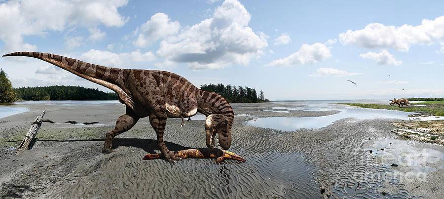 Тираннозавр рекс: фото динозавра, скелеты, виды, фильмы, игрушки