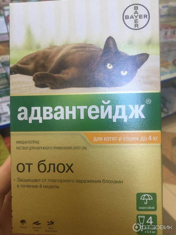 Адвантейдж для кошек против паразитов: инструкция по применению - вет-препараты