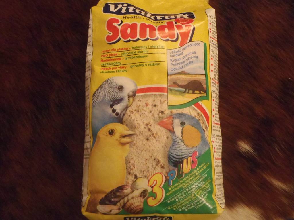 Песок для волнистых попугаев: нужен или нет, как и какой лучше давать
