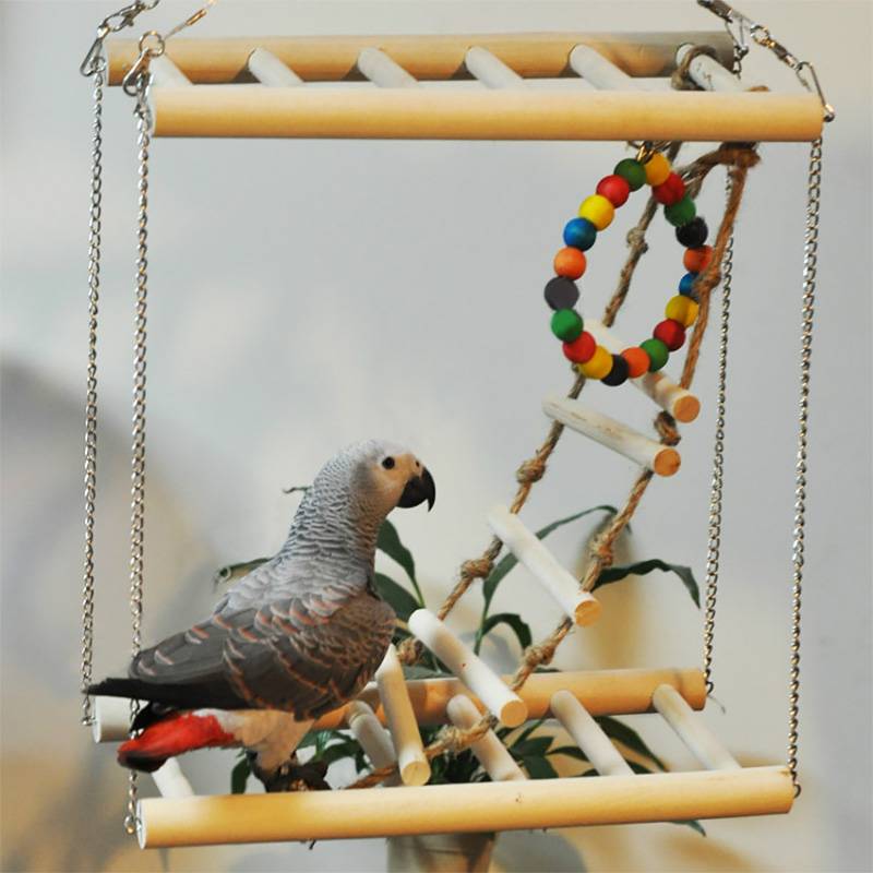 Игрушки для попугаев корелла своими руками ⋆ онлайн-журнал для женщин