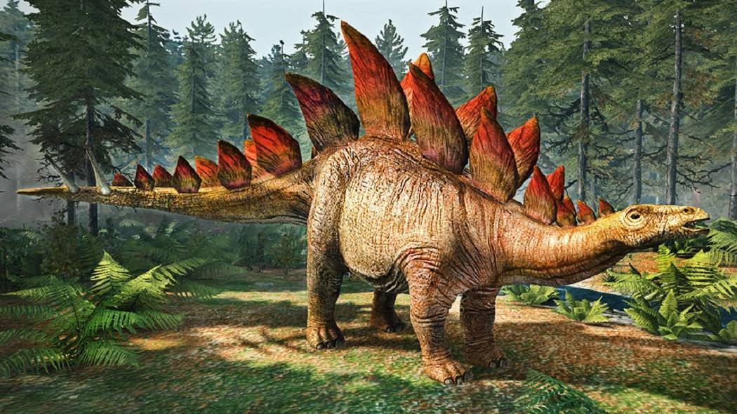 Стегозавр | доисторический мир вики | fandom